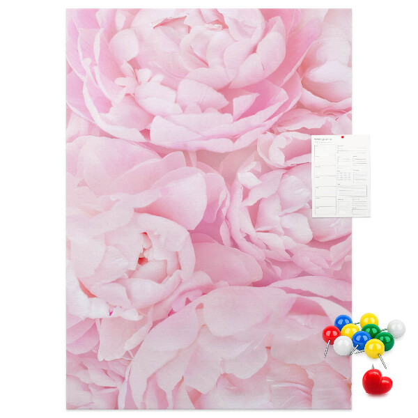 Kork-Pinnwand mit Motiv von zarten rosa Pfingstrosen in voller Blüte