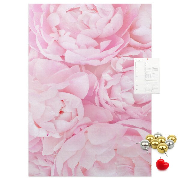 Kork-Pinnwand mit Motiv von zarten rosa Pfingstrosen in voller Blüte