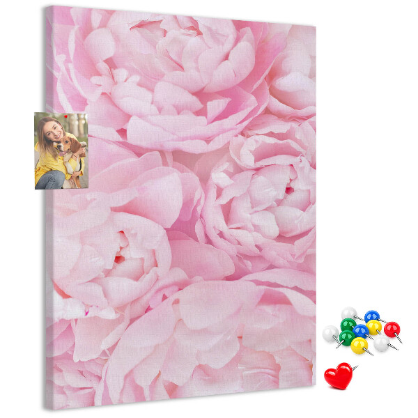 Kork-Pinnwand mit Motiv von zarten rosa Pfingstrosen in voller Blüte