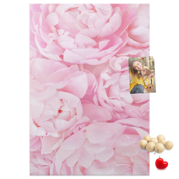 Kork-Pinnwand mit Motiv von zarten rosa Pfingstrosen in voller Blüte