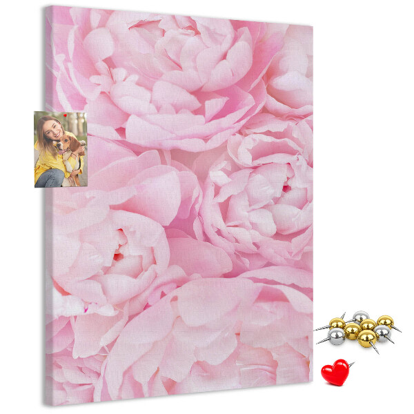 Kork-Pinnwand mit Motiv von zarten rosa Pfingstrosen in voller Blüte