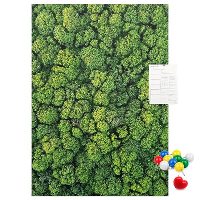 Bedruckte Korkplatte mit Motiv Grüner Wald aus der Vogelperspektive
