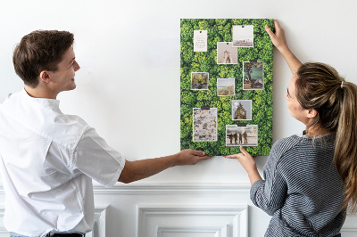Bedruckte Korkplatte mit Motiv Grüner Wald aus der Vogelperspektive