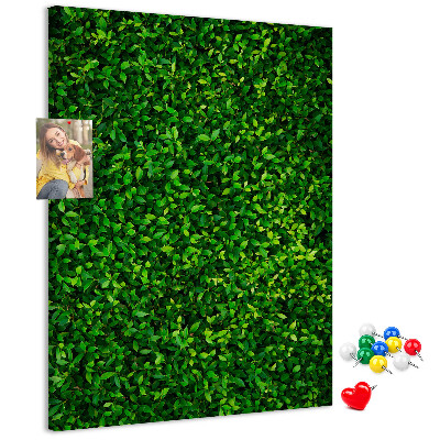Kork-Pinnwand mit grüner, dichter und blattreicher Optik