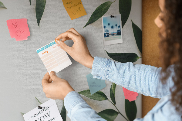 Bild mit Korkrückwand Blätter in einem zarten, minimalistischen Arrangement