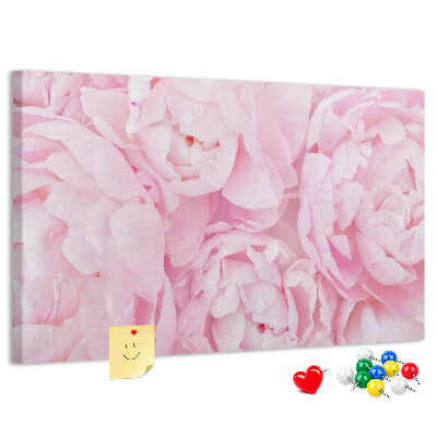 Bild mit Korkrückwand rosa Pfingstrosen in einem zarten Farbton