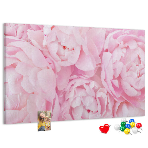Bild mit Korkrückwand rosa Pfingstrosen in einem zarten Farbton