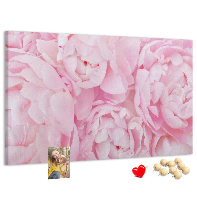 Bild mit Korkrückwand rosa Pfingstrosen in einem zarten Farbton