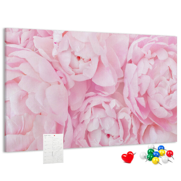 Bild mit Korkrückwand rosa Pfingstrosen in einem zarten Farbton