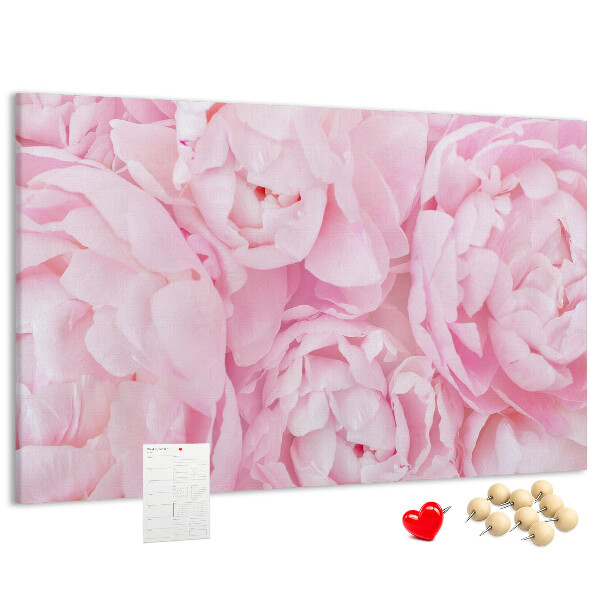 Bild mit Korkrückwand rosa Pfingstrosen in einem zarten Farbton