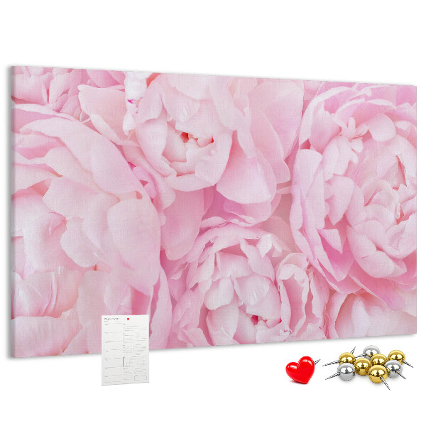 Bild mit Korkrückwand rosa Pfingstrosen in einem zarten Farbton