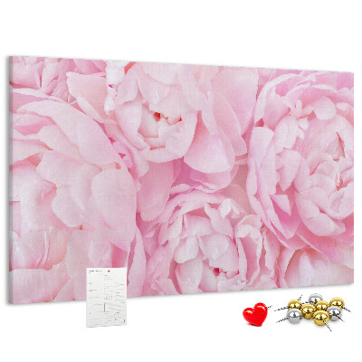 Bild mit Korkrückwand rosa Pfingstrosen in einem zarten Farbton