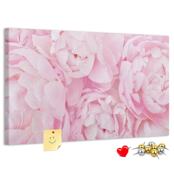 Bild mit Korkrückwand rosa Pfingstrosen in einem zarten Farbton