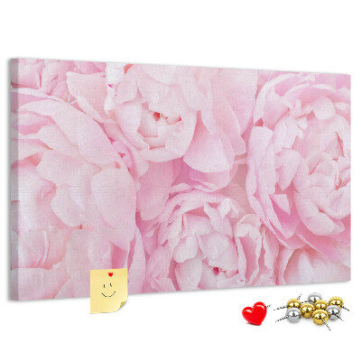 Bild mit Korkrückwand rosa Pfingstrosen in einem zarten Farbton