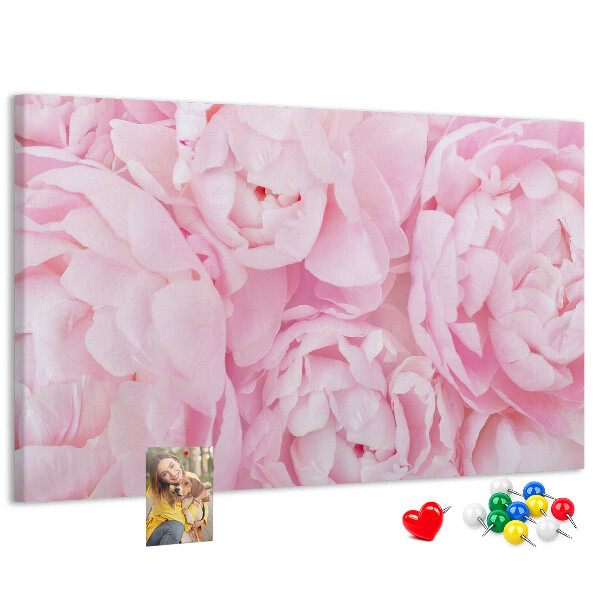 Bild mit Korkrückwand rosa Pfingstrosen in einem zarten Farbton