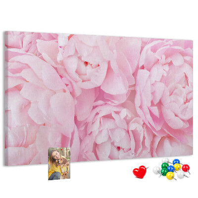 Bild mit Korkrückwand rosa Pfingstrosen in einem zarten Farbton