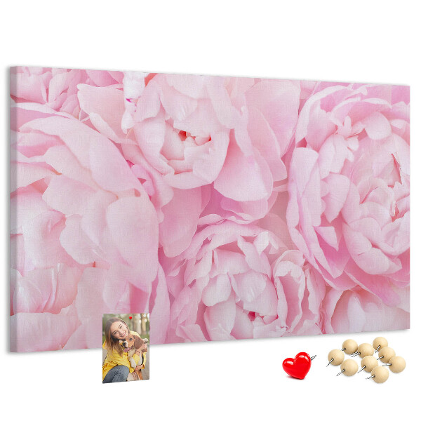 Bild mit Korkrückwand rosa Pfingstrosen in einem zarten Farbton