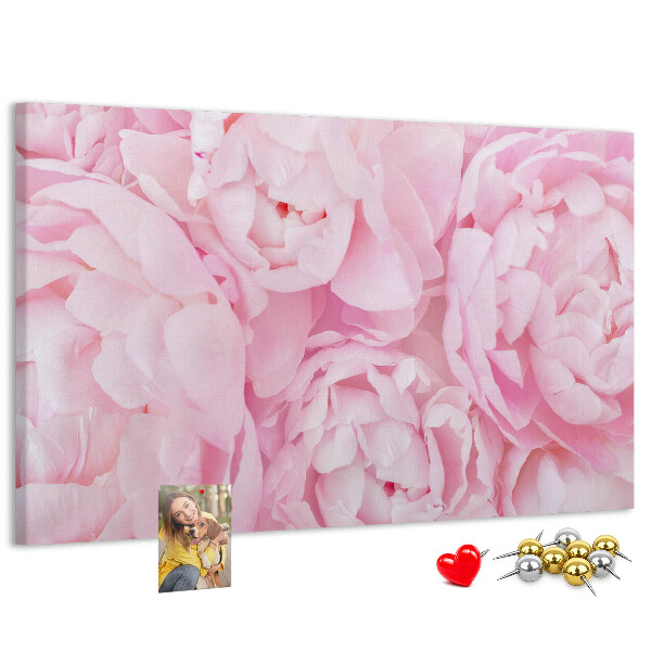 Bild mit Korkrückwand rosa Pfingstrosen in einem zarten Farbton