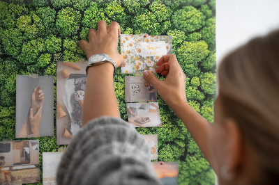Wandbild mit Korkrückwand grüner Wald mit dichter Vegetation