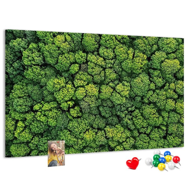 Wandbild mit Korkrückwand grüner Wald mit dichter Vegetation