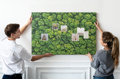 Wandbild mit Korkrückwand grüner Wald mit dichter Vegetation