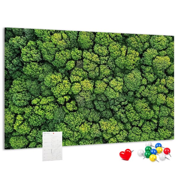 Wandbild mit Korkrückwand grüner Wald mit dichter Vegetation