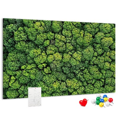 Wandbild mit Korkrückwand grüner Wald mit dichter Vegetation