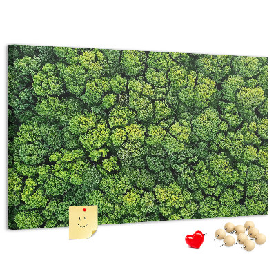 Wandbild mit Korkrückwand grüner Wald mit dichter Vegetation