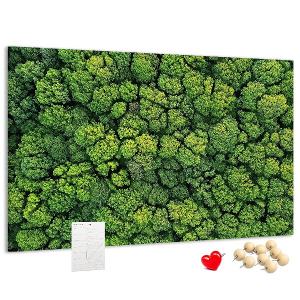 Wandbild mit Korkrückwand grüner Wald mit dichter Vegetation