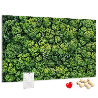 Wandbild mit Korkrückwand grüner Wald mit dichter Vegetation