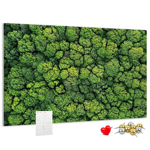 Wandbild mit Korkrückwand grüner Wald mit dichter Vegetation