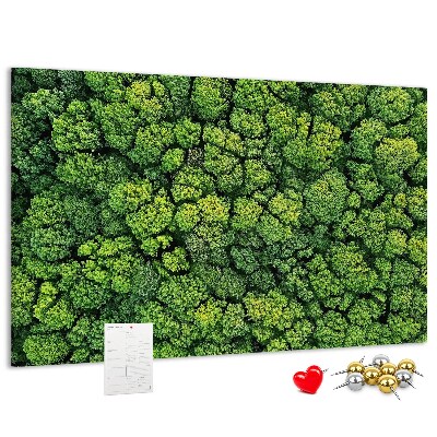 Wandbild mit Korkrückwand grüner Wald mit dichter Vegetation