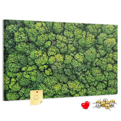 Wandbild mit Korkrückwand grüner Wald mit dichter Vegetation