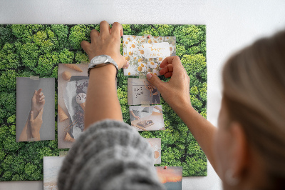 Wandbild mit Korkrückwand grüner Wald mit dichter Vegetation