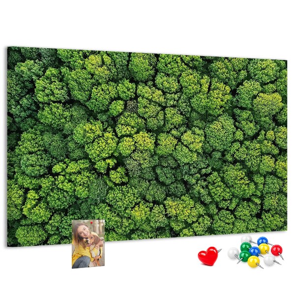 Wandbild mit Korkrückwand grüner Wald mit dichter Vegetation