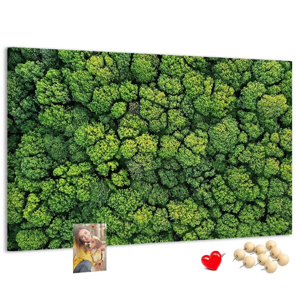 Wandbild mit Korkrückwand grüner Wald mit dichter Vegetation
