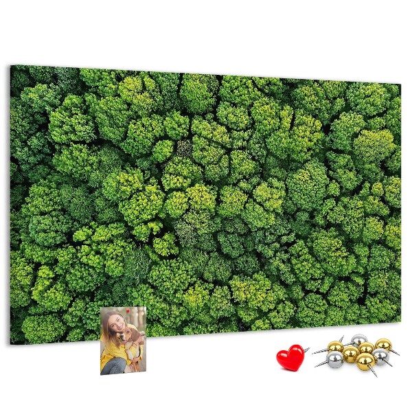 Wandbild mit Korkrückwand grüner Wald mit dichter Vegetation