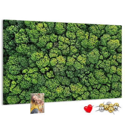 Wandbild mit Korkrückwand grüner Wald mit dichter Vegetation