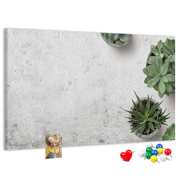 Korktafel mit Motiv Topfpflanzen auf grauem Hintergrund