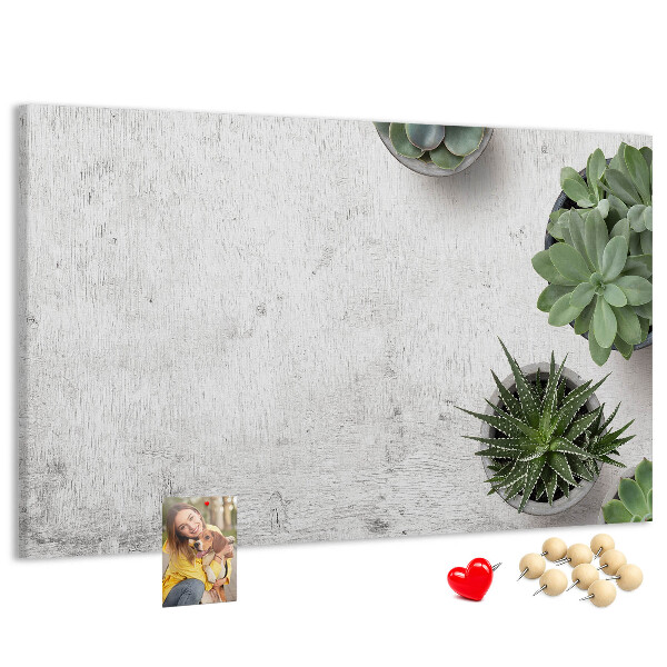 Korktafel mit Motiv Topfpflanzen auf grauem Hintergrund