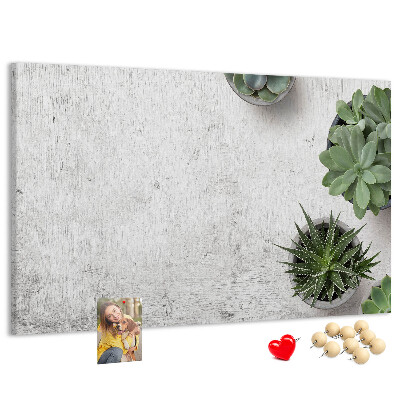 Korktafel mit Motiv Topfpflanzen auf grauem Hintergrund