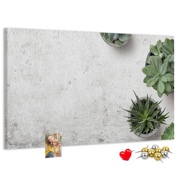 Korktafel mit Motiv Topfpflanzen auf grauem Hintergrund