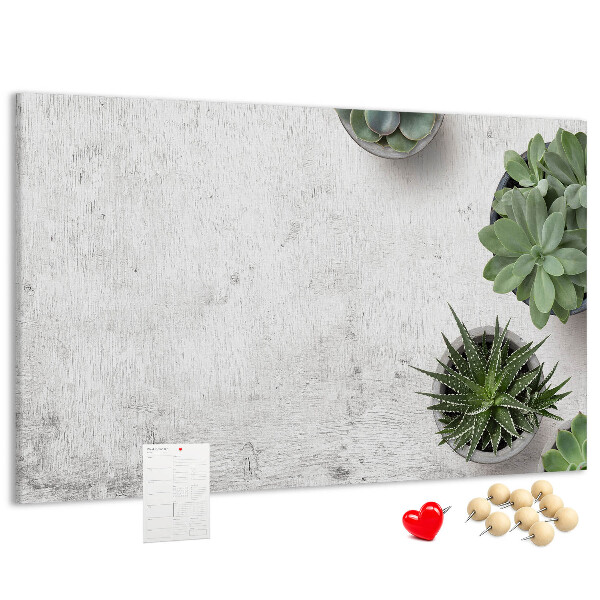 Korktafel mit Motiv Topfpflanzen auf grauem Hintergrund