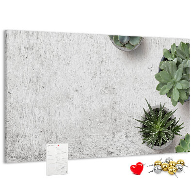Korktafel mit Motiv Topfpflanzen auf grauem Hintergrund