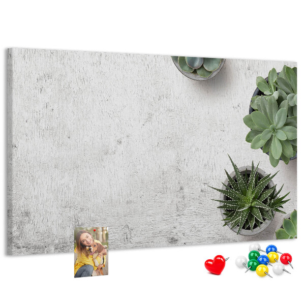 Korktafel mit Motiv Topfpflanzen auf grauem Hintergrund