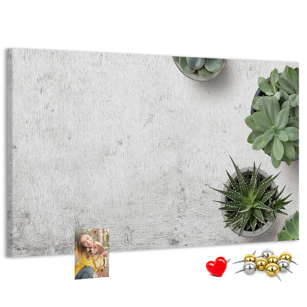 Korktafel mit Motiv Topfpflanzen auf grauem Hintergrund