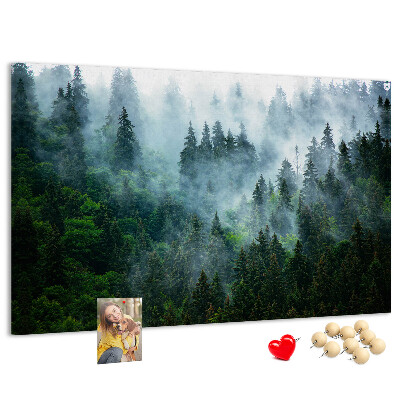 Korkbild nebelige Waldlandschaft mit Kiefern