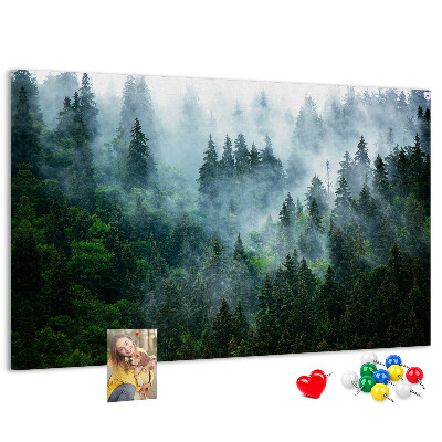 Korkbild nebelige Waldlandschaft mit Kiefern