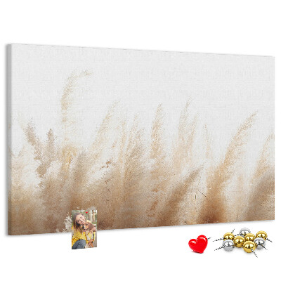 Bild mit Korkrückwand zarte Gräser auf hellem Hintergrund
