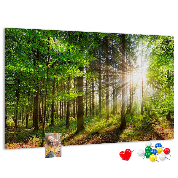 Korktafel mit dem Motiv Sonnenstrahlen im grünen Wald